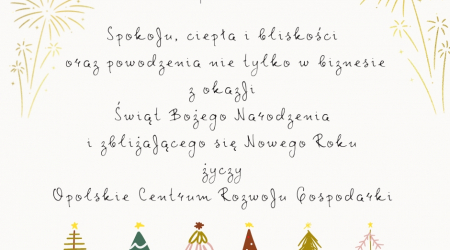 Opolskie Centrum Rozwoju Gospodarki