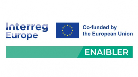 logo-enaibler-strona-social-media